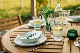 A wooden outdoor table set with plates, glasses of water with lemon, cutlery, a plant centerpiece, and a water carafe creates an inviting scene perfect for showcasing in Catalog Resources.